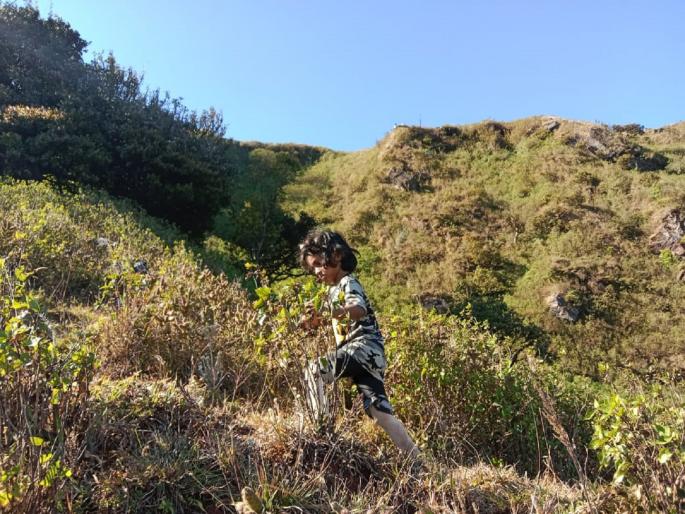 Three-year-old Anvi Ghatge of Kolhapur climbed the highest peak in Karnataka by assessment | कोल्हापूरच्या तीन वर्षीय अन्वीने सर केले कर्नाटकतील सर्वोच शिखर, पहिली छोटी गिर्यारोहक Three-year-old Anvi Ghatge of Kolhapur climbed the highest peak in Karnataka by assessment | कोल्हापूरच्या तीन वर्षीय अन्वीने सर केले कर्नाटकतील सर्वोच शिखर, पहिली छोटी गिर्यारोहक