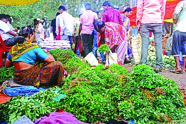 Vegetables, onion, cotton, because of the inward crunch | आवक मंदावल्याने भाजीपाला, कांदा कडाडला Vegetables, onion, cotton, because of the inward crunch | आवक मंदावल्याने भाजीपाला, कांदा कडाडला