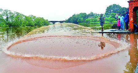 Rep. In the district, thrust in the dam area | जिल्ह्यात रिपरिप, धरणक्षेत्रात जोर Rep. In the district, thrust in the dam area | जिल्ह्यात रिपरिप, धरणक्षेत्रात जोर