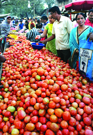 Tomatoes for Rs.10 / kg | टोमॅटो दहा रुपये किलो Tomatoes for Rs.10 / kg | टोमॅटो दहा रुपये किलो