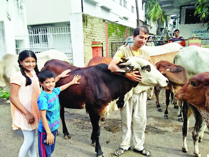 Kolhapur's Go Sevak 'Avadhuta Solanki | कोल्हापूरचा गो‘सेवक’ अवधूत सोळंकी Kolhapur's Go Sevak 'Avadhuta Solanki | कोल्हापूरचा गो‘सेवक’ अवधूत सोळंकी