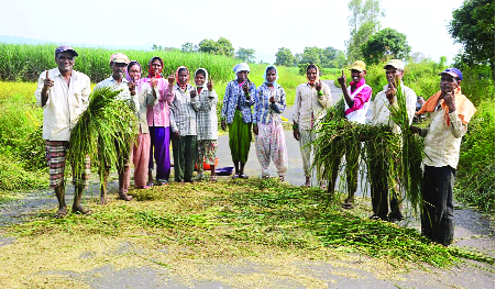 Glee with procession, ban on the dolbie | मिरवणुकीसह गुलाल, डॉल्बीवर बंदी Glee with procession, ban on the dolbie | मिरवणुकीसह गुलाल, डॉल्बीवर बंदी