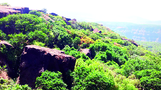 Flag of Jhanda Point Land in Manoli | मानोली येथील झेंडा पॉर्इंट भूमापनाचा दस्तऐवज Flag of Jhanda Point Land in Manoli | मानोली येथील झेंडा पॉर्इंट भूमापनाचा दस्तऐवज