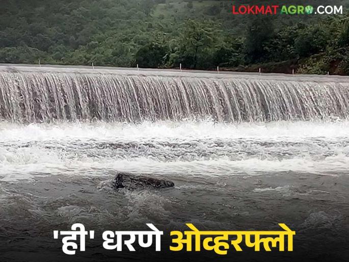 'These' four dams in Kolhapur district are 100 percent full; How much water is stored in other dams? | कोल्हापूर जिल्ह्यातील 'ही' चार धरणे १०० टक्के भरली; इतर धरणांत किती पाणीसाठा?