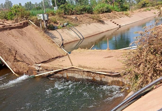 dilapidated bridge on the right canal of borawade collapsed | बोरवडेच्या उजव्या कालव्यावरील जीर्ण पूल कोसळला dilapidated bridge on the right canal of borawade collapsed | बोरवडेच्या उजव्या कालव्यावरील जीर्ण पूल कोसळला