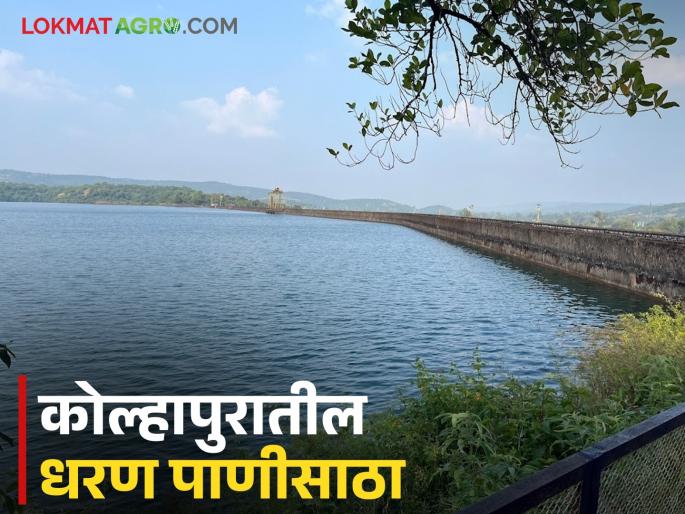 Heavy rain in the dam area; How much water storage has increased in which dam in Kolhapur district? | धरण क्षेत्रात धुवाधार पाऊस; कोल्हापूर जिल्ह्यातील कोणत्या धरणात वाढला किती पाणीसाठा?