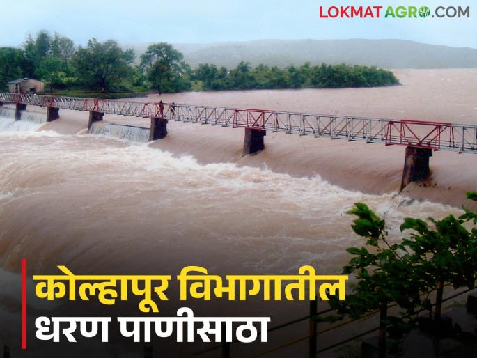 Kolhapur Dam Water : Rainfall stop; How much water is stored in Radhanagari, Tulsi and Warna dams? | Kolhapur Dam Water : पावसाची उघडीप; राधानगरी, तुळशी व वारणा धरणांत किती पाणीसाठा?