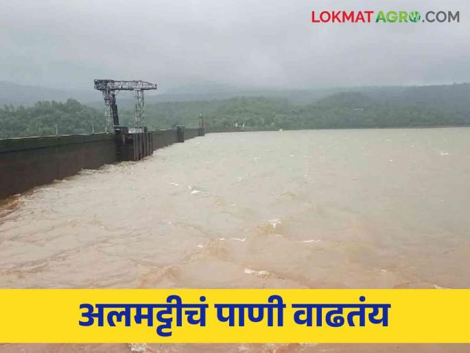 31 check dams under water in Kolhapur district.. Know the water level of major dams | कोल्हापूर जिल्ह्यातील ३१ बंधारे पाण्याखाली.. जाणून घ्या प्रमुख धरणांची पाणीपातळी 31 check dams under water in Kolhapur district.. Know the water level of major dams | कोल्हापूर जिल्ह्यातील ३१ बंधारे पाण्याखाली.. जाणून घ्या प्रमुख धरणांची पाणीपातळी