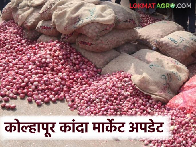 Kanda Bajar Bhav : Onion arrivals have increased, markets in other states are also full; How are prices being obtained in Kolhapur? | Kanda Bajar Bhav : कांद्याची आवक वाढली, परराज्यातील मार्केटही फुल्ल; कोल्हापूरात कसा मिळतोय दर Kanda Bajar Bhav : Onion arrivals have increased, markets in other states are also full; How are prices being obtained in Kolhapur? | Kanda Bajar Bhav : कांद्याची आवक वाढली, परराज्यातील मार्केटही फुल्ल; कोल्हापूरात कसा मिळतोय दर
