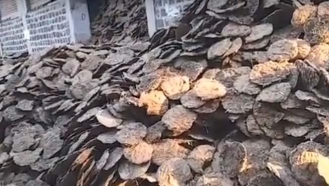 Holi 2018 Kolhapur: The donation of twenty-three lakh cemeteries to the cremation ground, MLA's flourishing support for the various congregations of Holi | Holi 2018 कोल्हापूर : सव्वातीन लाख शेणी स्मशानभुमीला दान, विधायक होळीस विविध मंडळांचा उत्स्फुर्त पाठींबा Holi 2018 Kolhapur: The donation of twenty-three lakh cemeteries to the cremation ground, MLA's flourishing support for the various congregations of Holi | Holi 2018 कोल्हापूर : सव्वातीन लाख शेणी स्मशानभुमीला दान, विधायक होळीस विविध मंडळांचा उत्स्फुर्त पाठींबा