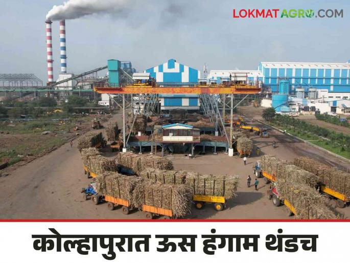 Except this factory in Kolhapur district, the boiler of all the factories are still cold | कोल्हापूर जिल्ह्यातील हा कारखाना वगळता सर्वच कारखान्यांच्या चिमण्या अद्याप थंडच Except this factory in Kolhapur district, the boiler of all the factories are still cold | कोल्हापूर जिल्ह्यातील हा कारखाना वगळता सर्वच कारखान्यांच्या चिमण्या अद्याप थंडच