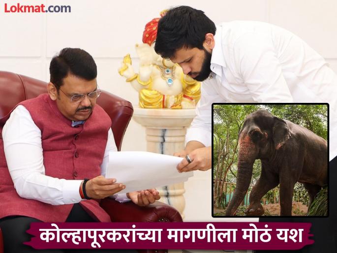 'Mahadevi' Elephant will return in kolhapur, 'Vantara' help for preparing to set up a rehabilitation center for elephants near Nandani Math | 'महादेवी' परतणार! नांदणी मठाजवळच हत्तीणीसाठी पुनर्वसन केंद्र उभारण्यास 'वनतारा' मदत करणार 'Mahadevi' Elephant will return in kolhapur, 'Vantara' help for preparing to set up a rehabilitation center for elephants near Nandani Math | 'महादेवी' परतणार! नांदणी मठाजवळच हत्तीणीसाठी पुनर्वसन केंद्र उभारण्यास 'वनतारा' मदत करणार
