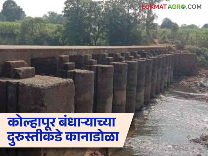 How many hectares of area irrigated from Kolhapuri dam in yavatmal | Kolhapuri Dam : कोल्हापुरी बंधाऱ्यातून किती हेक्टर क्षेत्रावर सिंचन; कोट्यवधींच्या खर्चाचे काय? वाचा सविस्तर