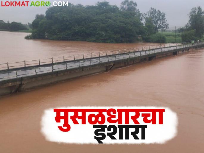 Maharashtra Weather Update : Heavy rain warning in this district for the next four days | Maharashtra Weather Update : पुढील चार दिवस या जिल्ह्यात मुसळधार पावसाचा इशारा Maharashtra Weather Update : Heavy rain warning in this district for the next four days | Maharashtra Weather Update : पुढील चार दिवस या जिल्ह्यात मुसळधार पावसाचा इशारा
