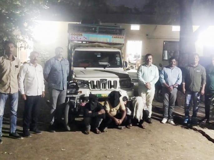 poultry farm target three arrested in amravati | पोल्ट्री फार्म लक्ष्य; तिघे ‘कोंबडीचोर’ जेरबंद, खोलापूर, रहिमापूरसह अकोल्याचा गुन्हा उघड poultry farm target three arrested in amravati | पोल्ट्री फार्म लक्ष्य; तिघे ‘कोंबडीचोर’ जेरबंद, खोलापूर, रहिमापूरसह अकोल्याचा गुन्हा उघड