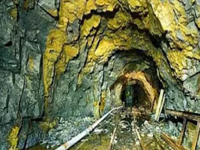 Conduct neutral survey for gold mines in Konkan Goa | 'कोकण-गोव्यातील सोन्याच्या खाणींसाठी तटस्थ सर्वेक्षण करा' Conduct neutral survey for gold mines in Konkan Goa | 'कोकण-गोव्यातील सोन्याच्या खाणींसाठी तटस्थ सर्वेक्षण करा'
