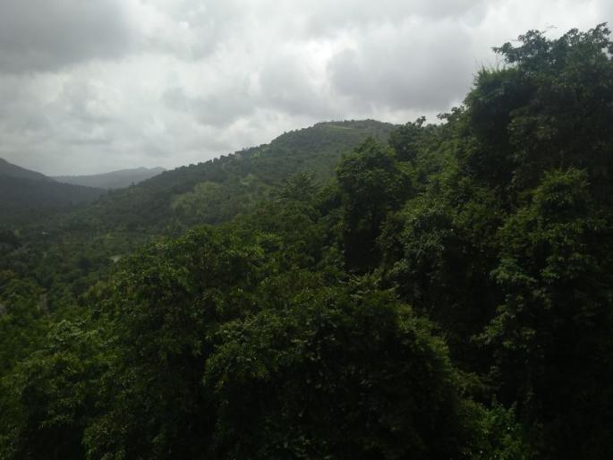 Premanand Desai news | मायनिंगचे हस्तक म्हटल्यानेच निषेध, प्रेमानंद देसाई यांचा खुलासा Premanand Desai news | मायनिंगचे हस्तक म्हटल्यानेच निषेध, प्रेमानंद देसाई यांचा खुलासा