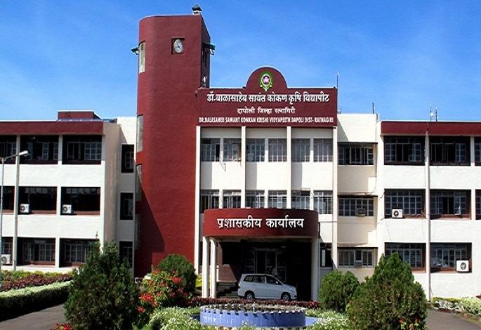 Inflammation of algae on cashew nuts, Konkan problem: remedies suggested by Dapoli Agricultural University | काजूपिकावर पानगळीचा प्रादुर्भाव, दापोली कृषी विद्यापीठाने सूचविल्या उपाययोजना Inflammation of algae on cashew nuts, Konkan problem: remedies suggested by Dapoli Agricultural University | काजूपिकावर पानगळीचा प्रादुर्भाव, दापोली कृषी विद्यापीठाने सूचविल्या उपाययोजना