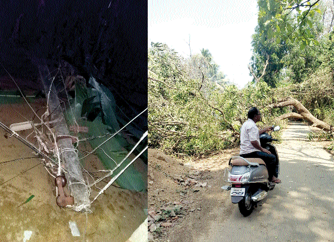 Due to the rain that has accompanied the windstorm, Nigude village in the dark | वादळी वाऱ्यासह पडलेल्या पावसामुळे निगुडे गाव अंधारात