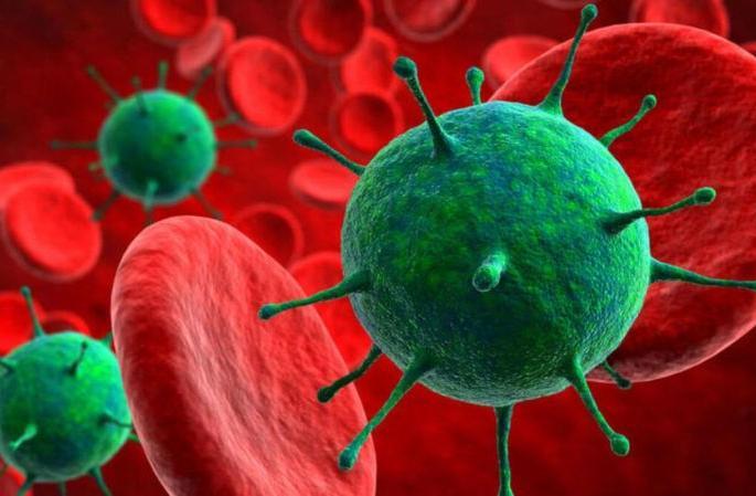 corona virus: Five more corona infections in the district | corona virus : जिल्ह्यात आणखी पाच कोरोना बाधित corona virus: Five more corona infections in the district | corona virus : जिल्ह्यात आणखी पाच कोरोना बाधित