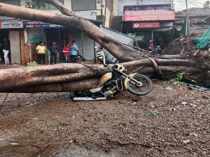 A tree fell on the Kolhapur Gaganbawda road, Traffic stopped | कोल्हापूर-गगनबावडा मार्गावर झाड कोसळले; एका दुचाकीचा चक्काचूर, वाहतूक ठप्प A tree fell on the Kolhapur Gaganbawda road, Traffic stopped | कोल्हापूर-गगनबावडा मार्गावर झाड कोसळले; एका दुचाकीचा चक्काचूर, वाहतूक ठप्प