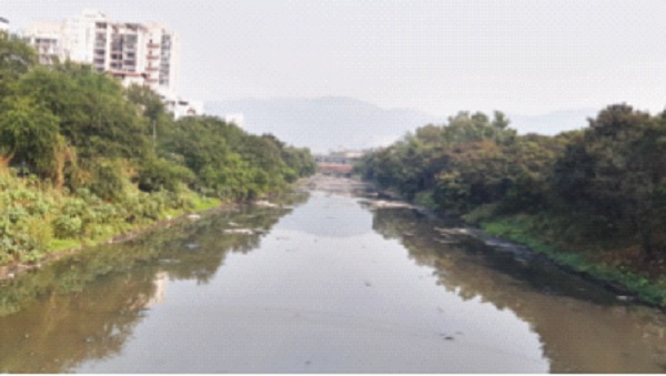 Dissatisfaction among the citizens of Kopari including Turbhe due to pollution, warning of agitation | प्रदूषणामुळे तुर्भेसह कोपरीच्या नागरिकांमध्ये असंतोष, आंदोलनाचा इशारा Dissatisfaction among the citizens of Kopari including Turbhe due to pollution, warning of agitation | प्रदूषणामुळे तुर्भेसह कोपरीच्या नागरिकांमध्ये असंतोष, आंदोलनाचा इशारा