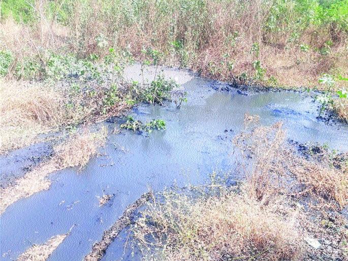 Malani: The waste of garbage on the empty plot; Regarding municipal administration | मलनि:सारणचा कचरा मोकळ्या भूखंडावर; पालिका प्रशासनाचे दुर्लक्ष Malani: The waste of garbage on the empty plot; Regarding municipal administration | मलनि:सारणचा कचरा मोकळ्या भूखंडावर; पालिका प्रशासनाचे दुर्लक्ष