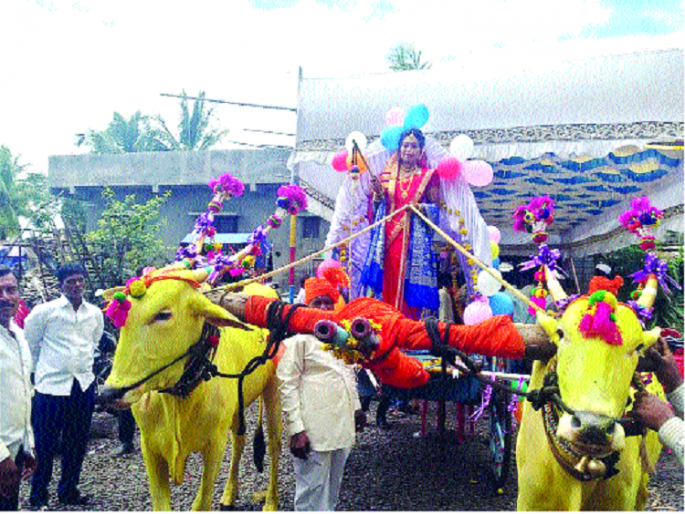 The bride came from the bullock cart and the 3 bones were gone | नववधू आली बैलगाडीतून... व-हाड निघालंय लग्नाला-: कोपर्डे हवेलीत अनोखा सोहळा The bride came from the bullock cart and the 3 bones were gone | नववधू आली बैलगाडीतून... व-हाड निघालंय लग्नाला-: कोपर्डे हवेलीत अनोखा सोहळा