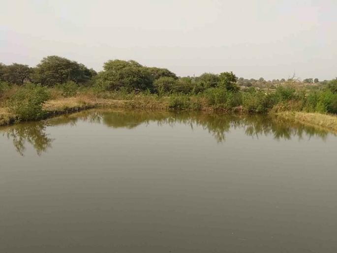 Movement for Renovation of Fish Seed Center in Koradi | कोराडी येथील मत्स्यबीज केंद्राच्या नुतनीकरणासाठी हालचाली ; केंद्राच्या समितीने केली पाहणी  Movement for Renovation of Fish Seed Center in Koradi | कोराडी येथील मत्स्यबीज केंद्राच्या नुतनीकरणासाठी हालचाली ; केंद्राच्या समितीने केली पाहणी