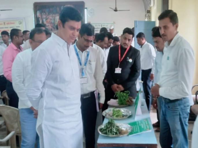 Wild vegetable festival celebrated with enthusiasm in Koregaon | कोरेगावात रानभाजी महोत्सव उत्साहात साजरा