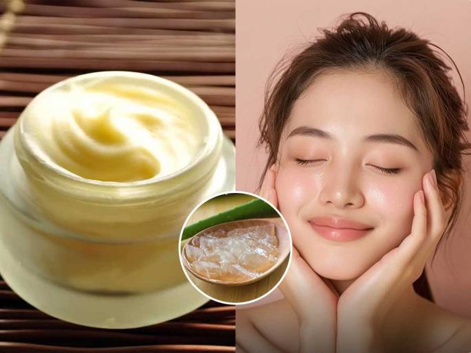 how to get Korean glass skin naturally at home using aloe vera overnight aloe vera remedy for glowing and clear skin aloe vera gel night skincare routine for soft and radiant skin | झोपण्यापूर्वी त्वचेवर लावा १ चमचा कोरफडीचा गर,'हा' उपाय करतो जादू - सकाळी चेहऱ्यावर येईल कोरियन ग्लास स्किन ग्लो!