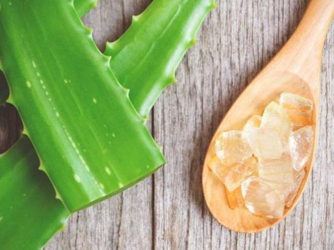 Now make 'Aloe Vera Shampoo' at home, the magic of natural aloe vera will make hair beautiful | आता घरच्याघरी बनवा 'ॲलोवेरा शाम्पू', नैसर्गिक कोरफडीची जादू केस होतील सुंदर