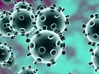 New 3 suspects filed! | नवीन ३६ संशयित दाखल ! New 3 suspects filed! | नवीन ३६ संशयित दाखल !