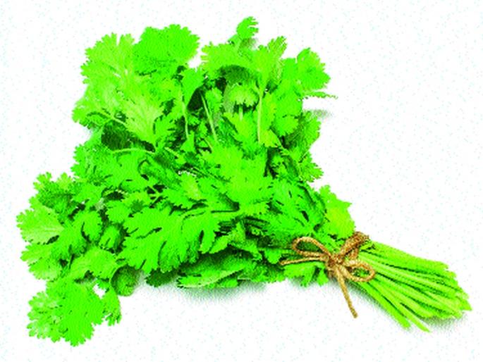 Due to the huge influx of fruit trees, the demand for fruitful vegetables decreased due to the rains | फळभाज्यांची प्रचंड आवक, पावसामुळे फळभाज्यांची मागणीही घटली Due to the huge influx of fruit trees, the demand for fruitful vegetables decreased due to the rains | फळभाज्यांची प्रचंड आवक, पावसामुळे फळभाज्यांची मागणीही घटली