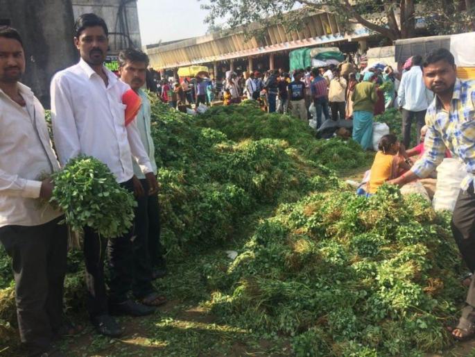 Fenugreek, cottage cheese 2 to 4 rupees, Sunday's highest yard in the market yard | मेथी, कोथिंबीर 2 ते 4 रुपये जुडी, रविवारी मार्केट यार्डमध्ये उच्चांकी आवक Fenugreek, cottage cheese 2 to 4 rupees, Sunday's highest yard in the market yard | मेथी, कोथिंबीर 2 ते 4 रुपये जुडी, रविवारी मार्केट यार्डमध्ये उच्चांकी आवक