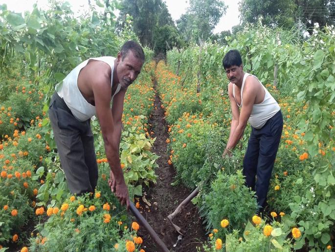Teacher's day special: 28 years unpaid job, chalk and balloon struggle | शिक्षक दिन विशेष : २८ वर्षे बिनपगारी नोकरी, खडू आणि फावड्याचा संघर्ष Teacher's day special: 28 years unpaid job, chalk and balloon struggle | शिक्षक दिन विशेष : २८ वर्षे बिनपगारी नोकरी, खडू आणि फावड्याचा संघर्ष