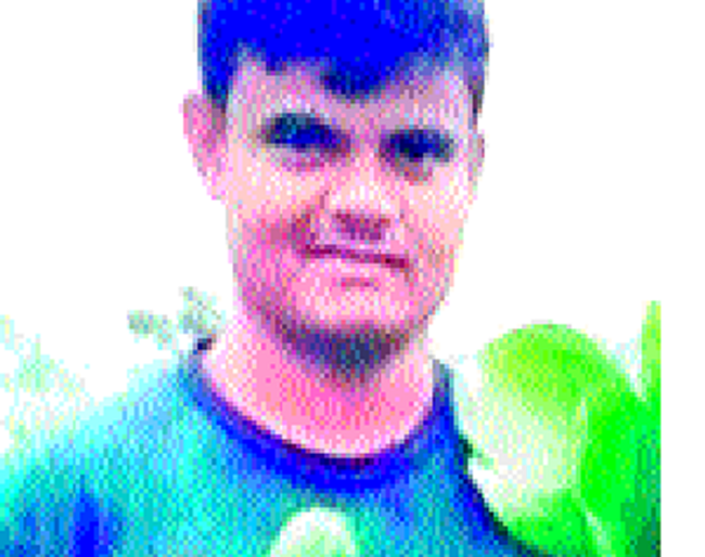 Foreign Shri grows exotic vegetables in Shigaon | शिगावमधील तरुणाने पिकवली परदेशी भाजी Foreign Shri grows exotic vegetables in Shigaon | शिगावमधील तरुणाने पिकवली परदेशी भाजी
