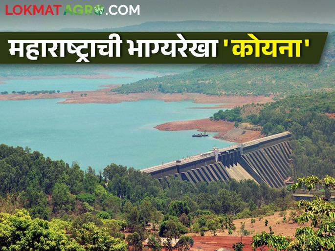 Know, the journey from Koyna dam construction to lake tapping | जाणून घ्या, कोयना धरण उभारणीपासून ते लेक टॅपिंगपर्यंतचा प्रवास Know, the journey from Koyna dam construction to lake tapping | जाणून घ्या, कोयना धरण उभारणीपासून ते लेक टॅपिंगपर्यंतचा प्रवास