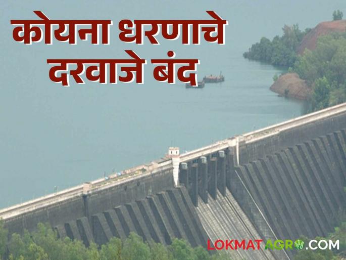 Koyna Dam gates are completely closed, but discharge continues from the power house; Read how much TMC water is stored | कोयना धरणाचे दरवाजे पूर्ण बंद तर वीजगृहातूनच विसर्ग सुरूच; वाचा किती टीएमसीवर आहे पाणीसाठा
