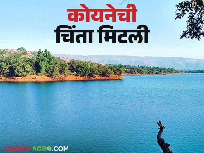 Koyna Dam Water : Due to 21 mm of rainfall in Koyna, the discharge in the power plant is also closed. How much water is there today? | Koyna Dam Water Level : कोयनेला २१ मिलिमीटर पर्जन्यमान पायथा वीजगृहातील विसर्गही बंद आजमितीला किती पाणीसाठा
