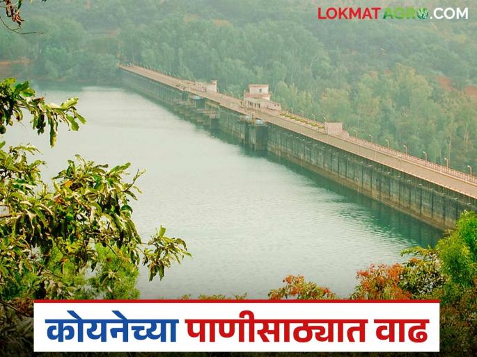 Mahabaleshwar's rainfall crossed the 1,500 mm mark; How much water was stored in Koyna Dam? | महाबळेश्वरच्या पावसाने दीड हजार मिलिमीटरचा टप्पा ओलांडला; कोयना धरणात झाला किती पाणीसाठा? Mahabaleshwar's rainfall crossed the 1,500 mm mark; How much water was stored in Koyna Dam? | महाबळेश्वरच्या पावसाने दीड हजार मिलिमीटरचा टप्पा ओलांडला; कोयना धरणात झाला किती पाणीसाठा?