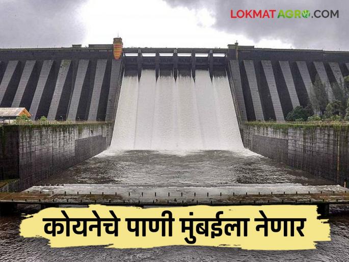 Koyna Dam water will be transported to Mumbai through waterways; What is this project? Read in detail | कोयना धरणाचे पाणी जलवाहिन्यांद्वारे मुंबईला नेणार; काय आहे हा प्रकल्प? वाचा सविस्तर