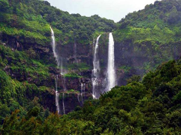 Good news! After nine months the Koyna area is open to nature tourists; MTDC in service | खुशखबर! नऊ महिन्यांनी कोयना परिसरातील निसर्ग पर्यटकांसाठी खुला; 'एमटीडीसी' पुनश्च सेवेत Good news! After nine months the Koyna area is open to nature tourists; MTDC in service | खुशखबर! नऊ महिन्यांनी कोयना परिसरातील निसर्ग पर्यटकांसाठी खुला; 'एमटीडीसी' पुनश्च सेवेत