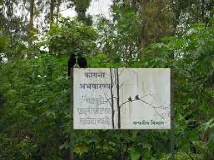 Entry to Koyna Helvak forest area closed for five days | कोयना हेळवाक वनपरिक्षेत्रात पाच दिवस प्रवेश बंद Entry to Koyna Helvak forest area closed for five days | कोयना हेळवाक वनपरिक्षेत्रात पाच दिवस प्रवेश बंद
