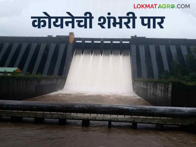 Koyna Dam Water Level: The water level of Koyna Dam has reached 100 TMC | Koyna Dam Water Level : कोयना धरणाचा पाणीसाठा गेला शंभर टीएमसीवर
