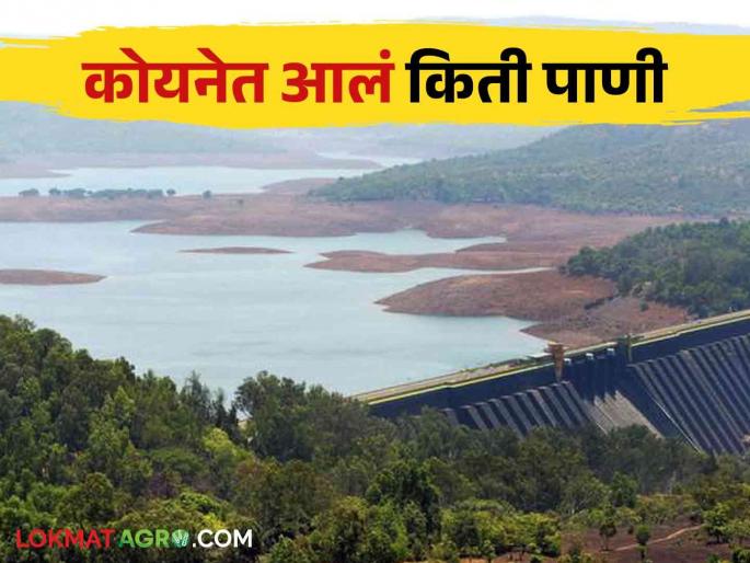 Koyna Water Level: how much TMC water came in Koyna Dam in 24 hours | Koyna Water Level: कोयना धरणात चोवीस तासांत आलं किती टीएमसी पाणी Koyna Water Level: how much TMC water came in Koyna Dam in 24 hours | Koyna Water Level: कोयना धरणात चोवीस तासांत आलं किती टीएमसी पाणी