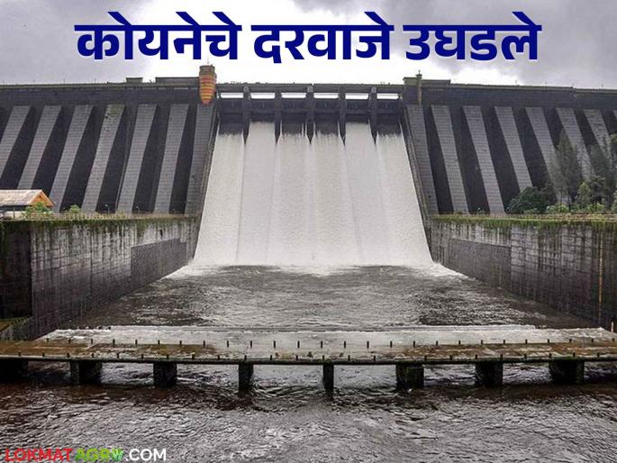 Koyna Dam Water Level : As water inflow increased in Koyna Dam, the six gates of the dam were opened by one foot | Koyna Dam Water Level : कोयना धरणात पाण्याची आवक वाढल्याने धरणाचे सहा दरवाजे एक फुटाने उचलले Koyna Dam Water Level : As water inflow increased in Koyna Dam, the six gates of the dam were opened by one foot | Koyna Dam Water Level : कोयना धरणात पाण्याची आवक वाढल्याने धरणाचे सहा दरवाजे एक फुटाने उचलले