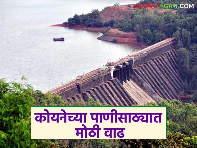 Koyna Dam has four times the water level compared to last year; What percentage of water has been stored in the dam? | कोयना धरणात गतवर्षापेक्षा चौपट पाणी; धरणात झाला किती टक्के पाणीसाठा? Koyna Dam has four times the water level compared to last year; What percentage of water has been stored in the dam? | कोयना धरणात गतवर्षापेक्षा चौपट पाणी; धरणात झाला किती टक्के पाणीसाठा?