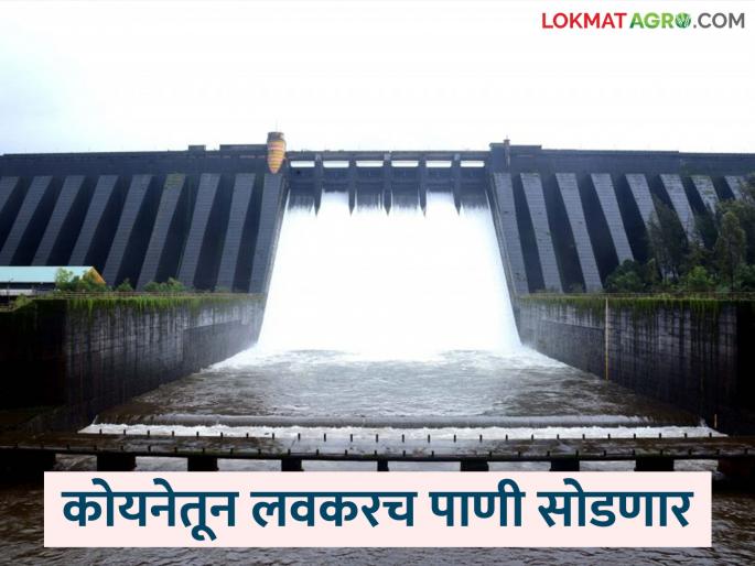 Koyna Dam water level increases significantly; Dam gates will open soon | कोयना धरणाच्या पाणी पातळीत मोठी वाढ; लवकरच धरणाचे दरवाजे उघडणार