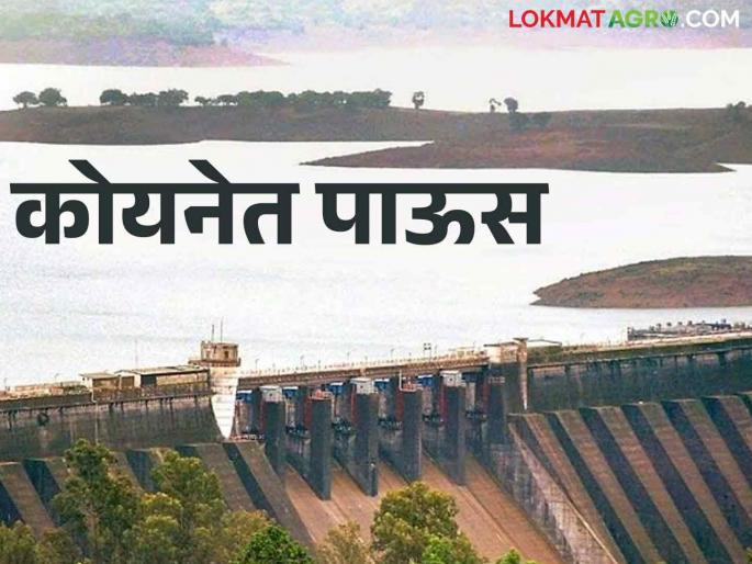 Koyna Dam Water Level: How much TMC increase in Koyna Dam in a day | Koyna Dam कोयना धरणसाठ्यात एका दिवसात किती टीएमसीने वाढ Koyna Dam Water Level: How much TMC increase in Koyna Dam in a day | Koyna Dam कोयना धरणसाठ्यात एका दिवसात किती टीएमसीने वाढ